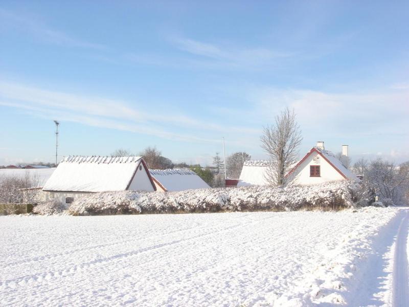 Bulbrovejs Bed & Breakfast Havdrup 외부 사진